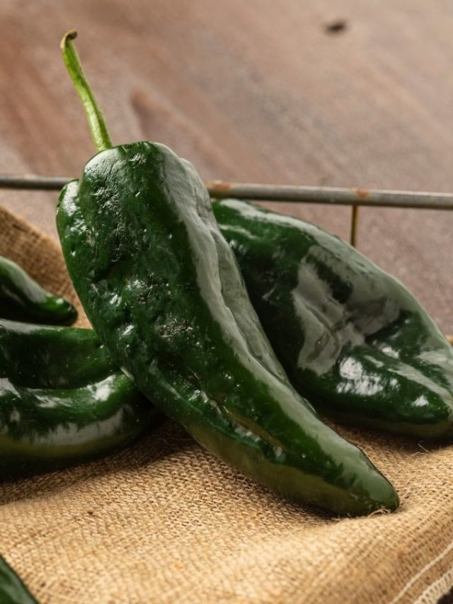 cropped-Poblano-Peppers-Substitutes-for-Green-Pepper.jpg