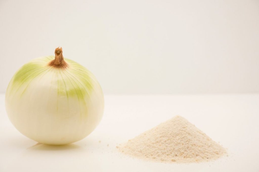 what is onion powder