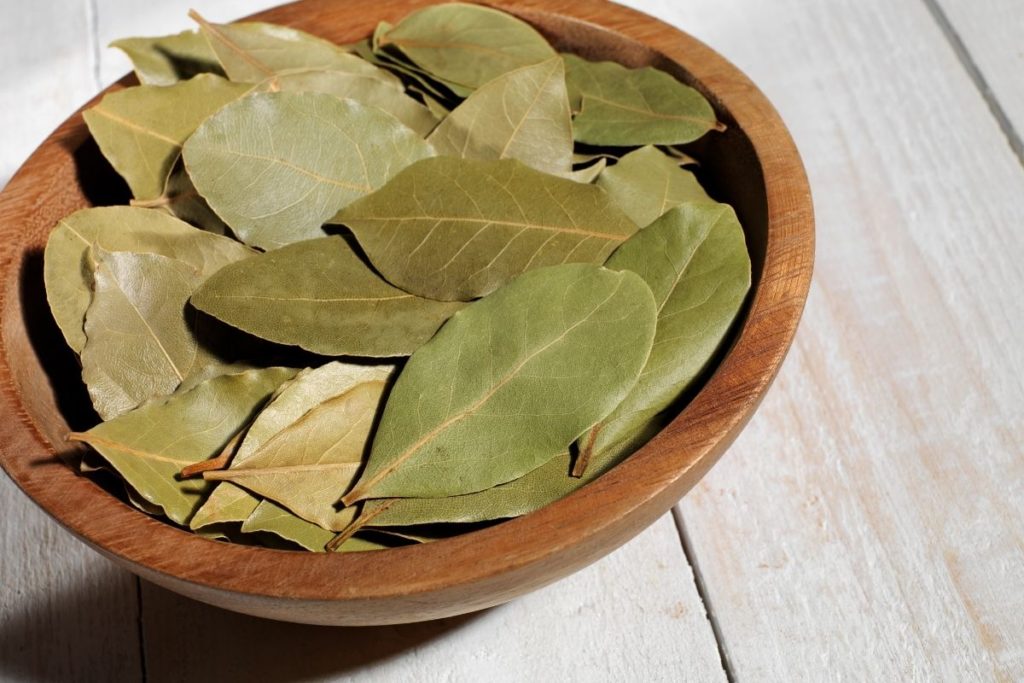  Hoja de Laurel: Sustitutos de las bayas de enebro