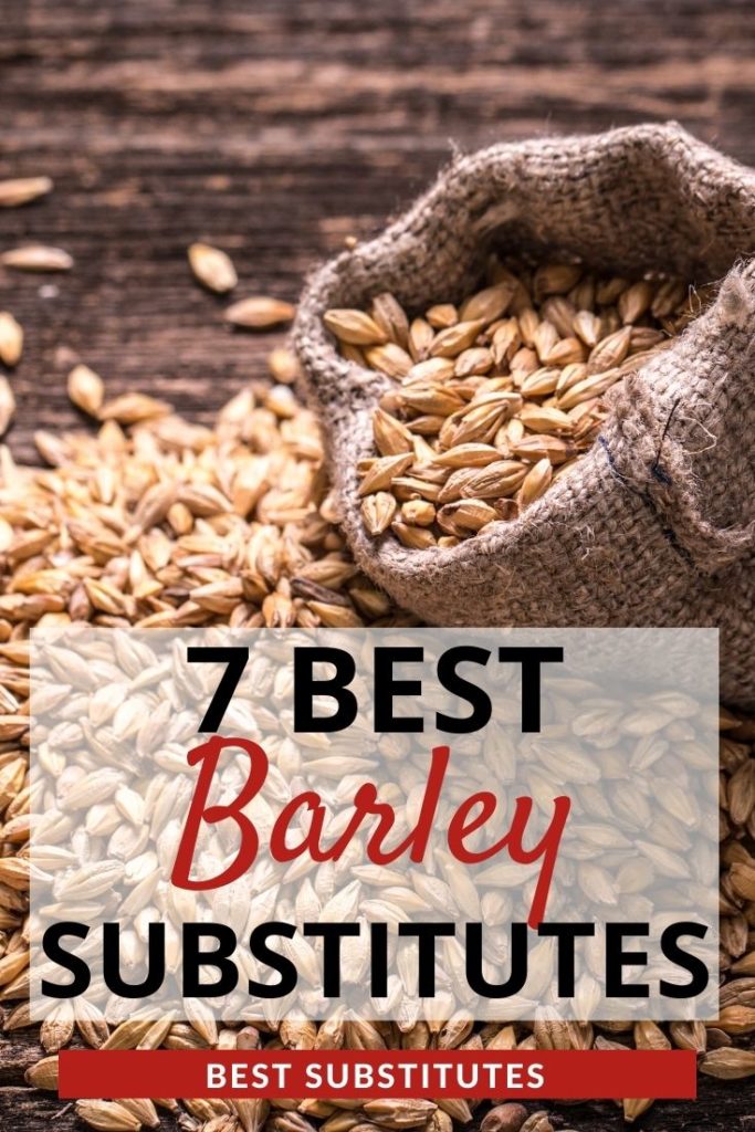 7 Best Barley Substitutes for Cooking (Updated 2024)