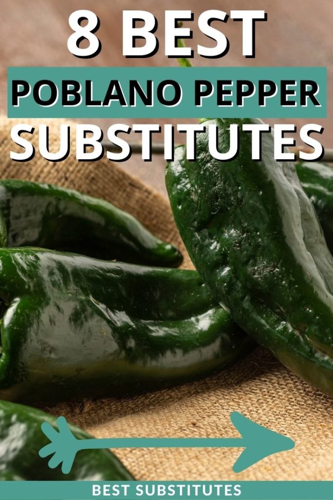 8 Best Substitutes for Poblano Peppers (Updated 2024)