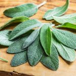 Best Substitutes for Sage