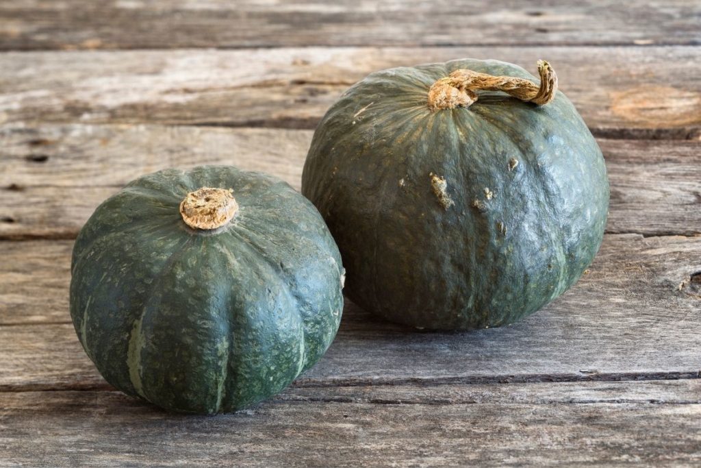 Buttercup Squash