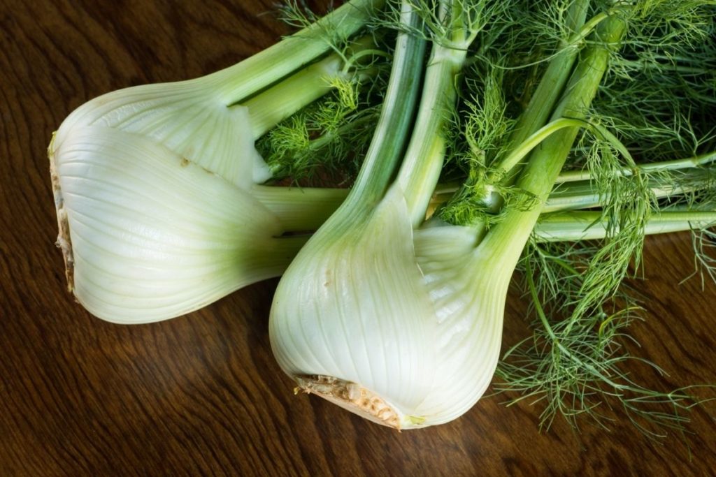 Fennel - Cucumber Substitutes