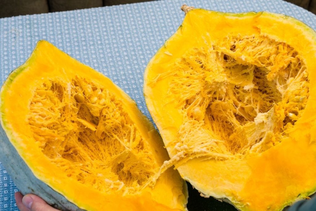 Hubbard Squash