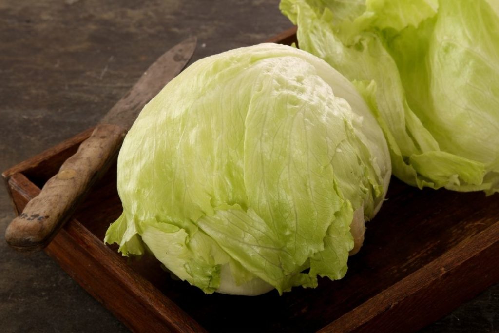 Iceberg Lettuce