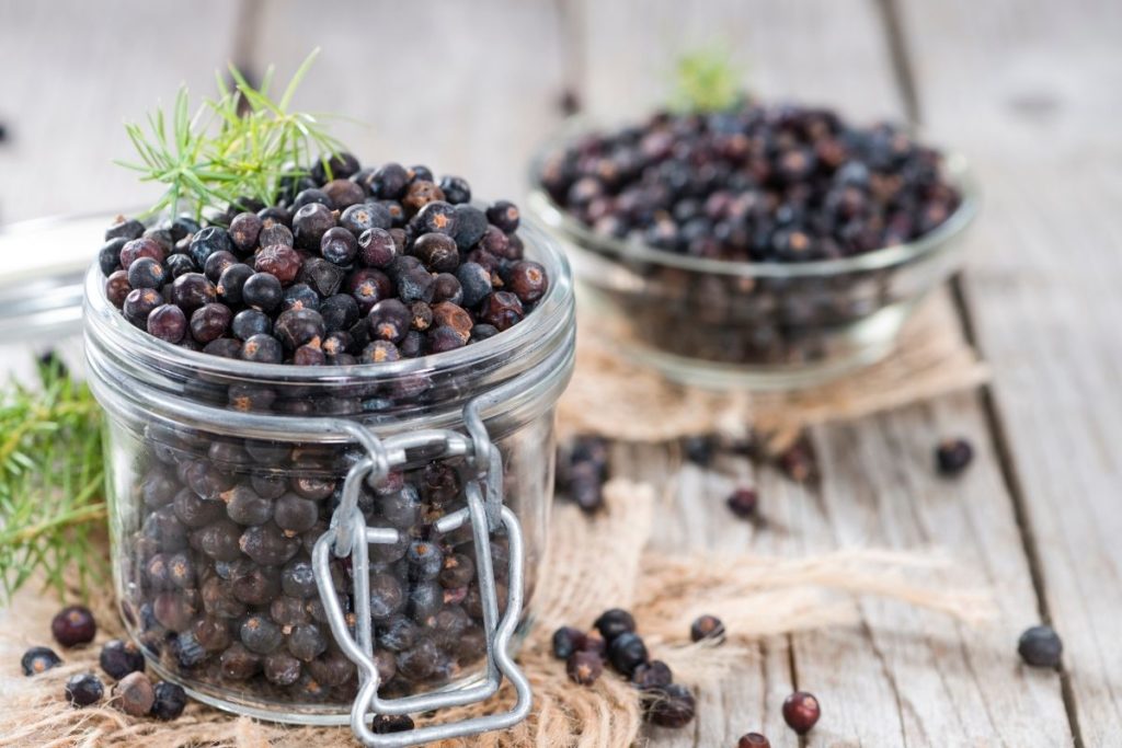 What is Juniper Berries