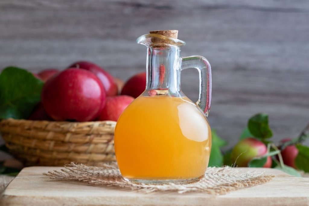 Apple Cider Vinegar - Sherry Vinegar Substitutes