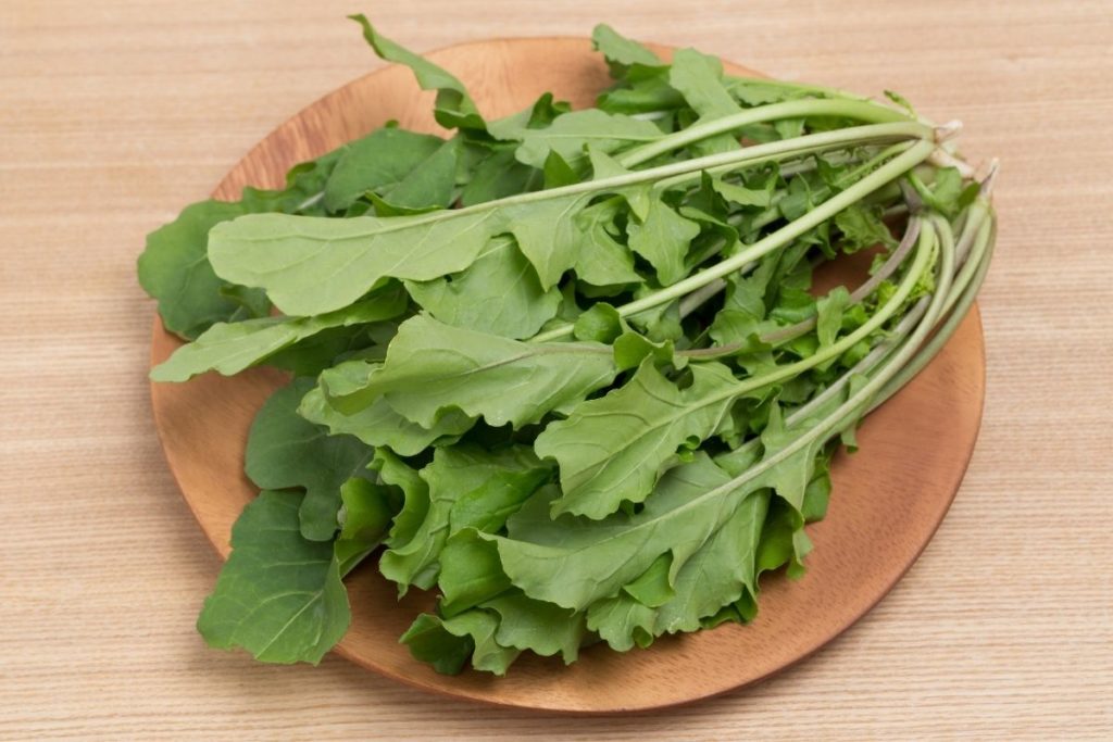 Arugula - Escarole Substitute