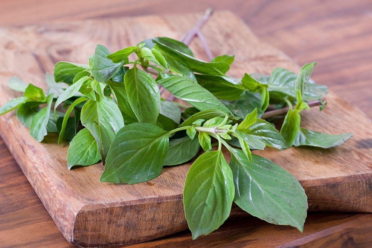 5 Best Bay Leaf Substitutes for Cooking - Recipe Marker