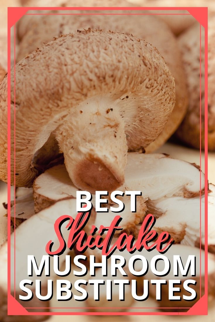 Best Shiitake Mushroom Substitutes