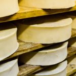 Best Substitutes for Fontina Cheese