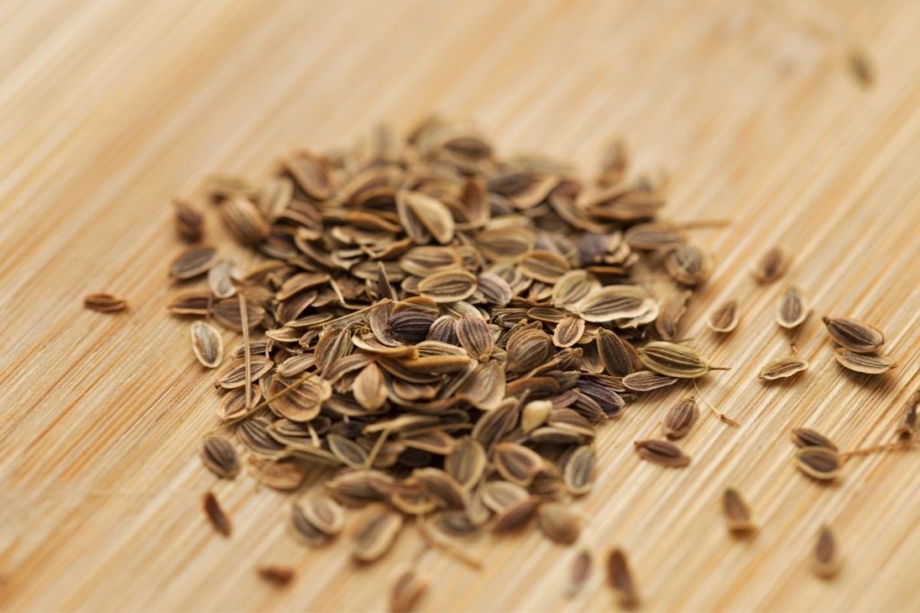 Dill Seeds