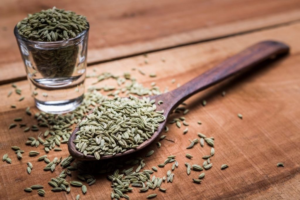 Fennel Seeds - Substitute For Caraway Seeds