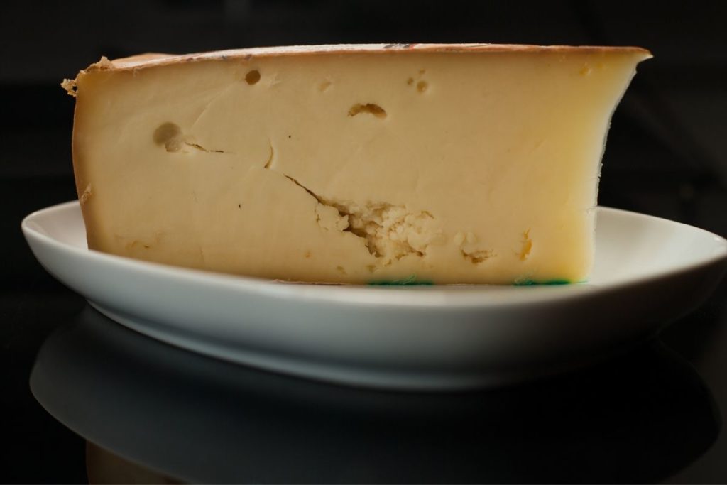 Fontina Cheese Substitute