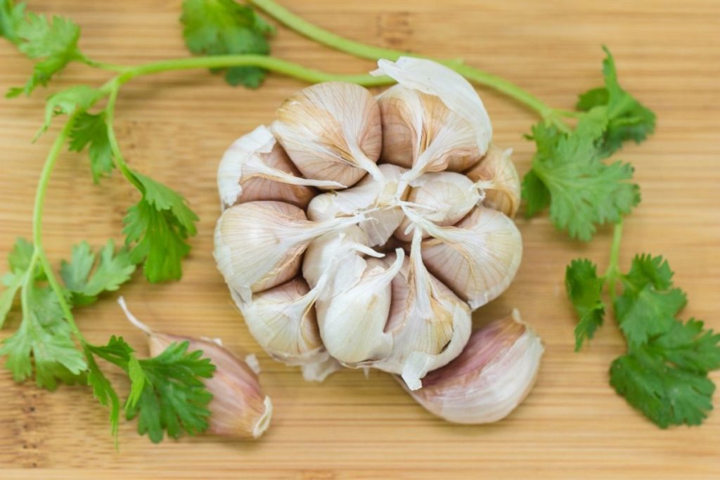 Garlic - How Much Is A Clove Of Garlic