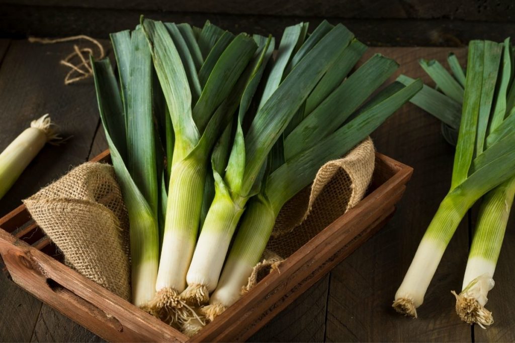 Leeks - Green Onion Substitutes