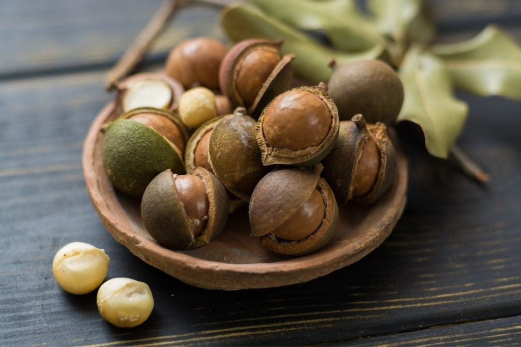 Macadamia Nuts