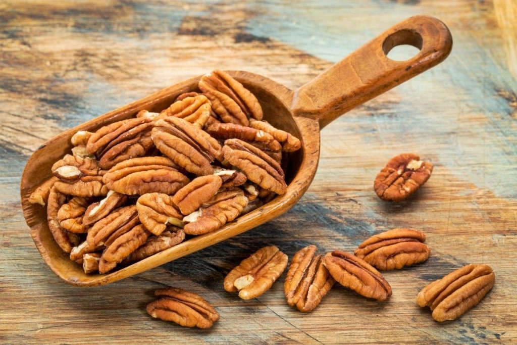 Pecan Nuts -Pine Nut Substitute