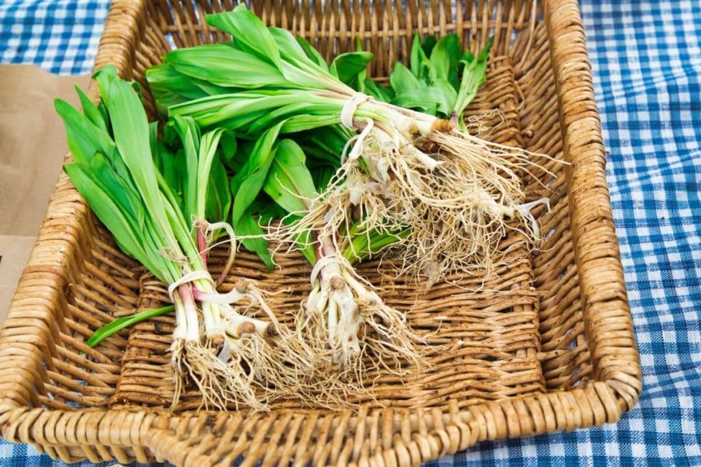 Ramps