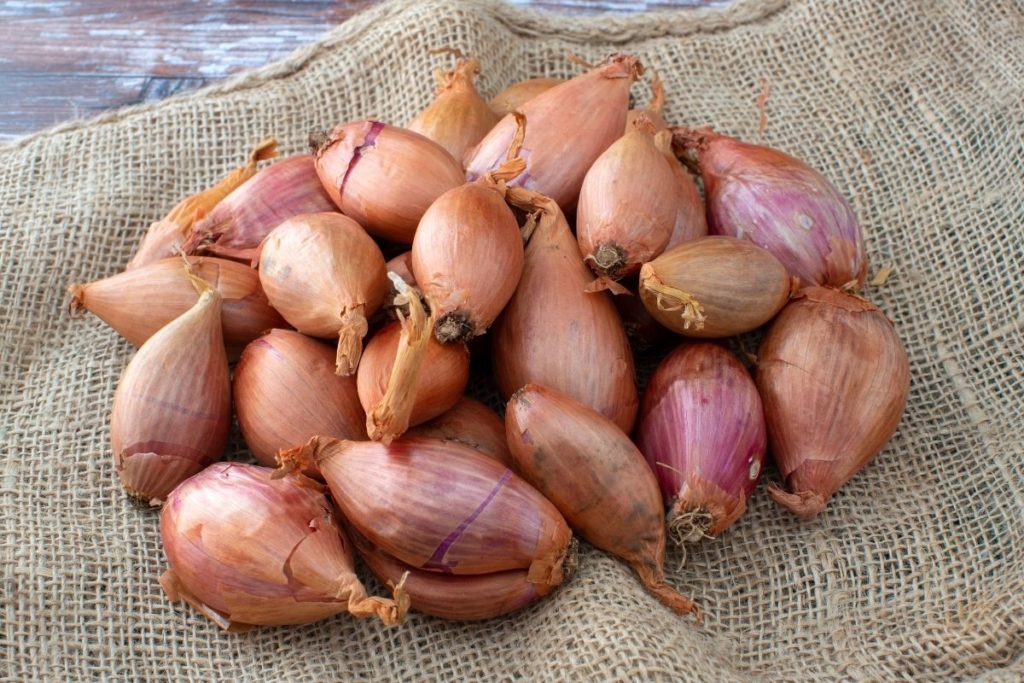 Shallots - Leek Substitute