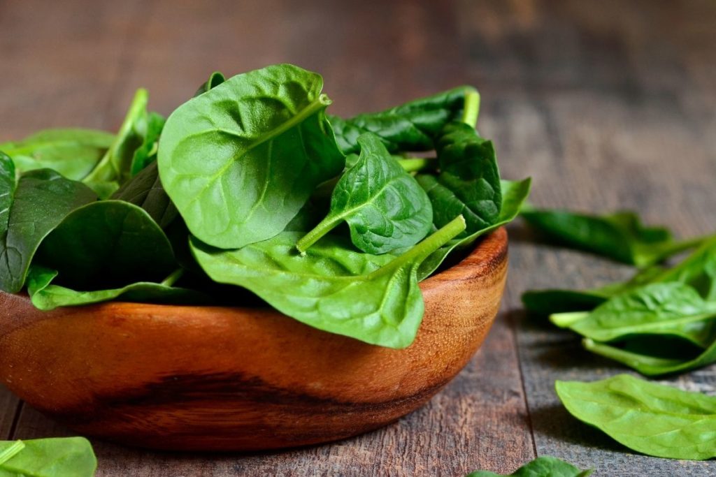 Spinach Leaves