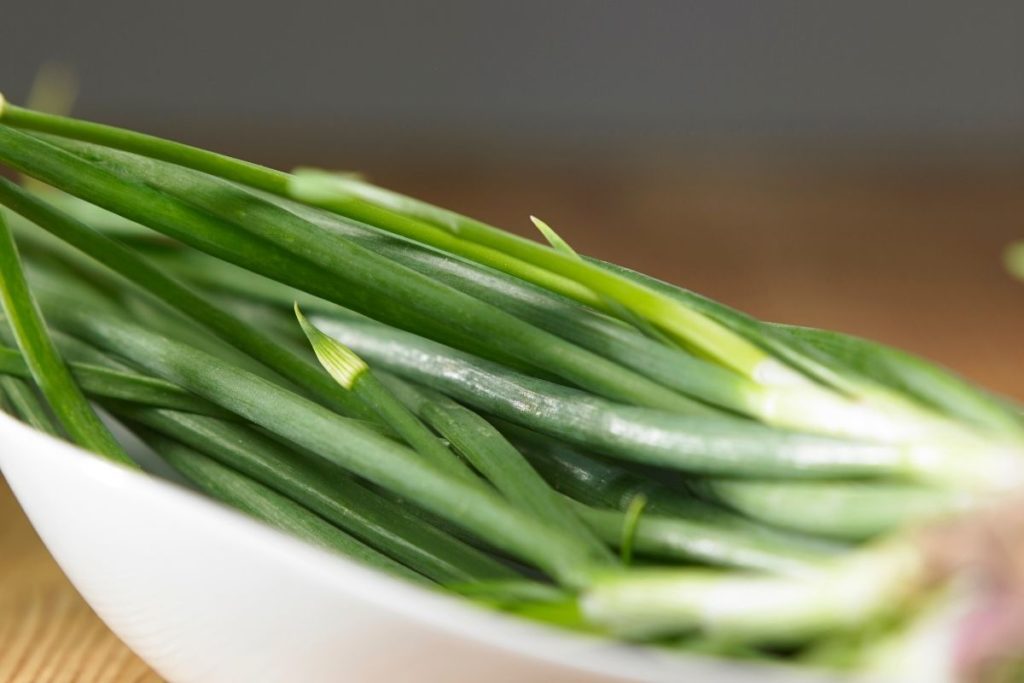 Spring Onion - Scallion Substitute