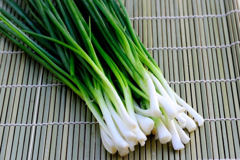 Spring Onions - Leek Substitute