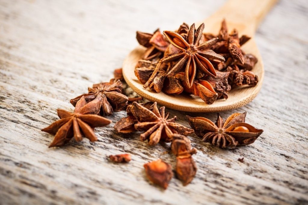 Star Anise Substitute