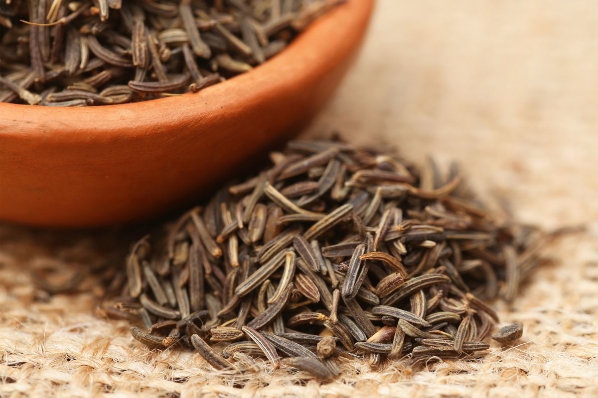 7 Best Substitutes for Caraway Seeds (Updated 2024)