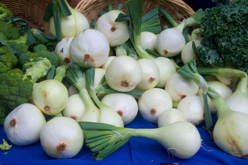 Sweet Onions