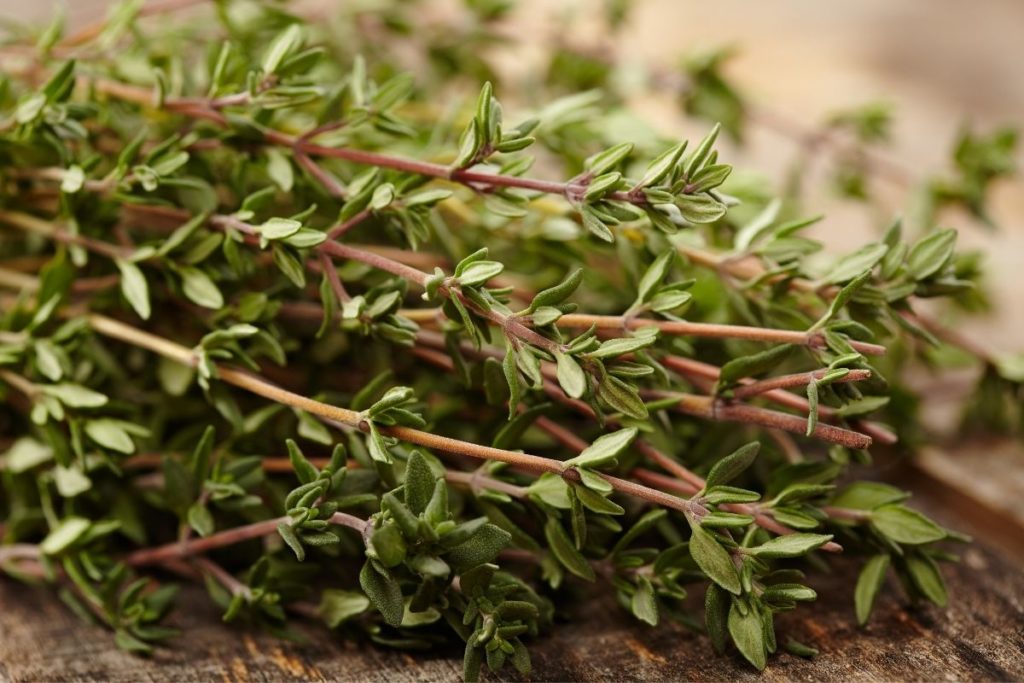 Thyme - Bay Leaf Substitutes