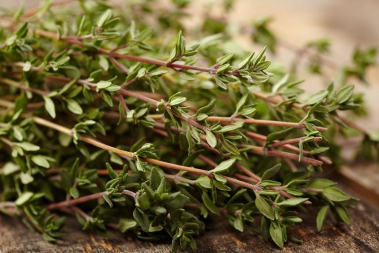 substitute ground thyme for dried thyme leaves
