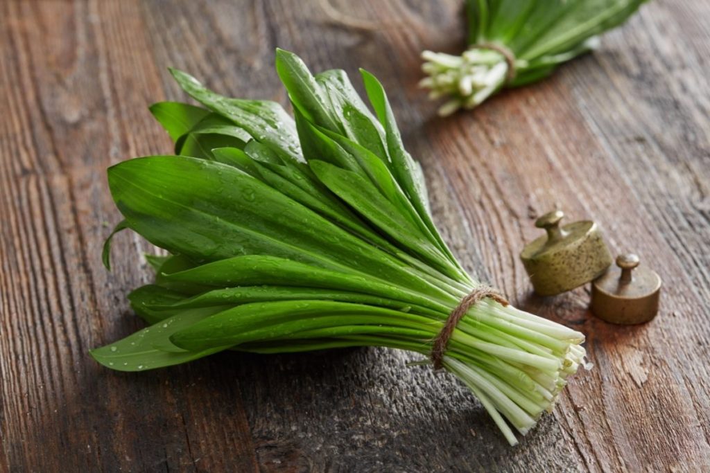 Wild Garlic