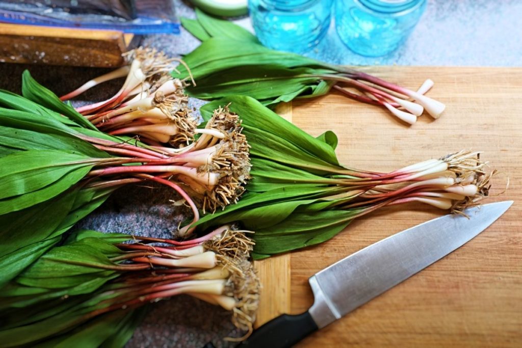 Wild Ramps