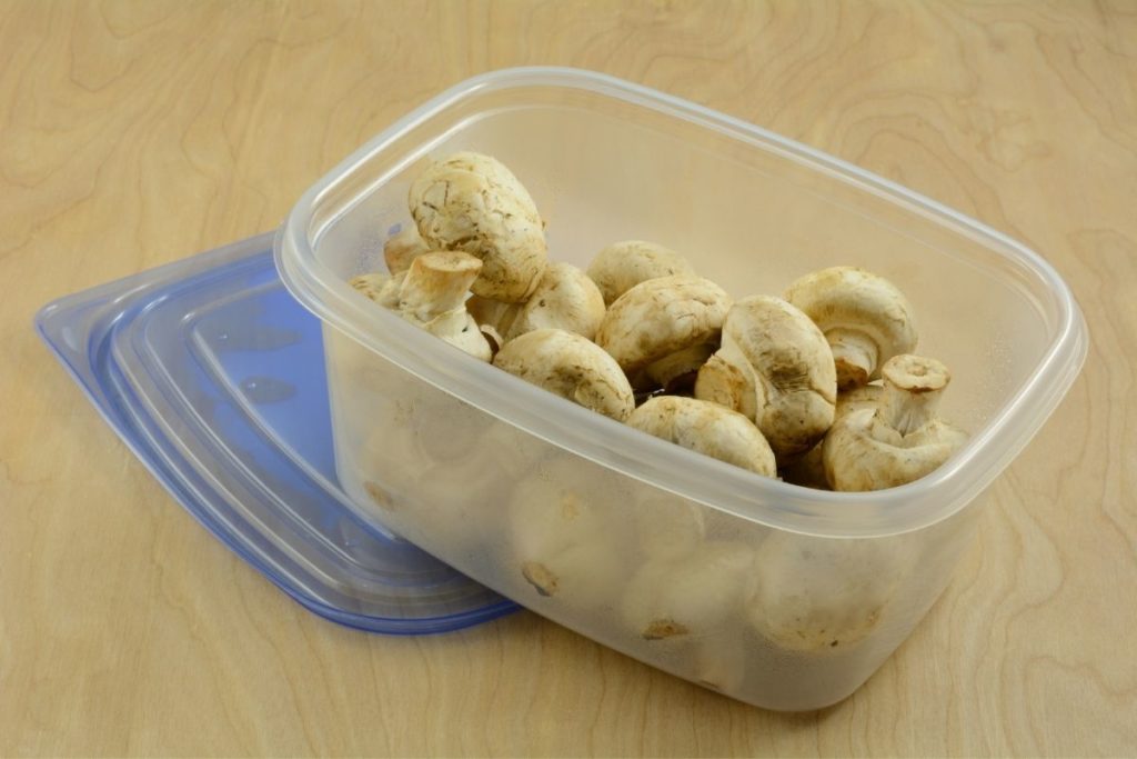 How To Store Mushrooms