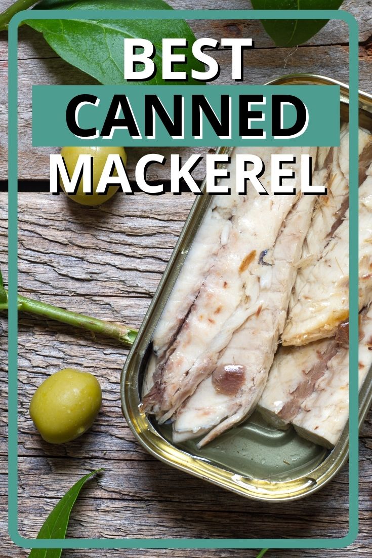 Best Canned Mackerel