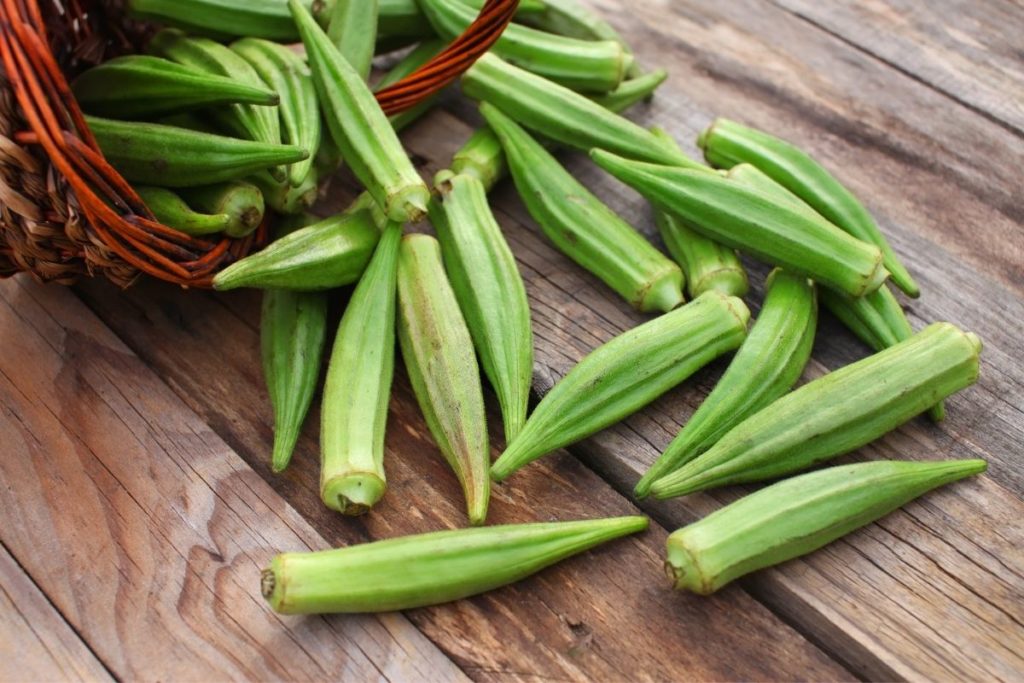 Okra - File Powder Substitute