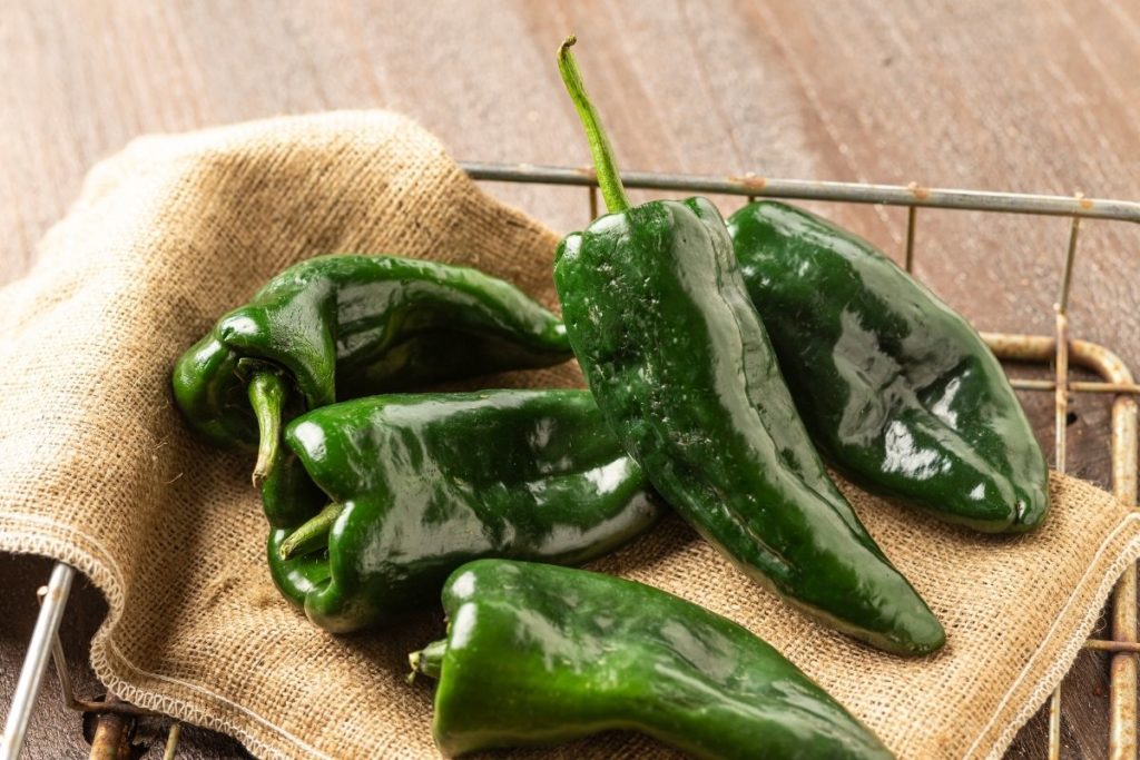 Poblano Peppers