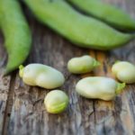 Best Substitutes for Fava Bean