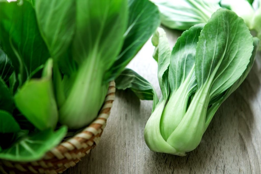 Bok Choy