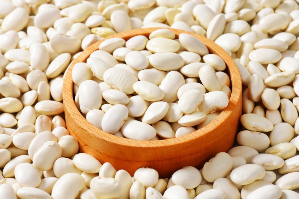 Lima Beans - Fava Bean Substitute