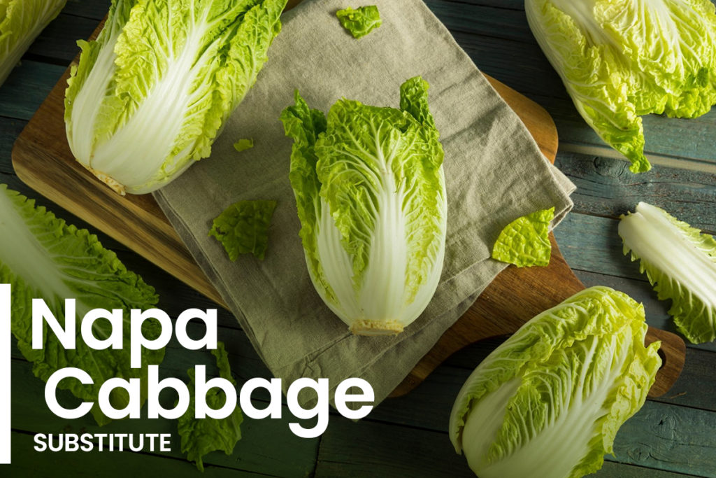 Napa Cabbage Substitute