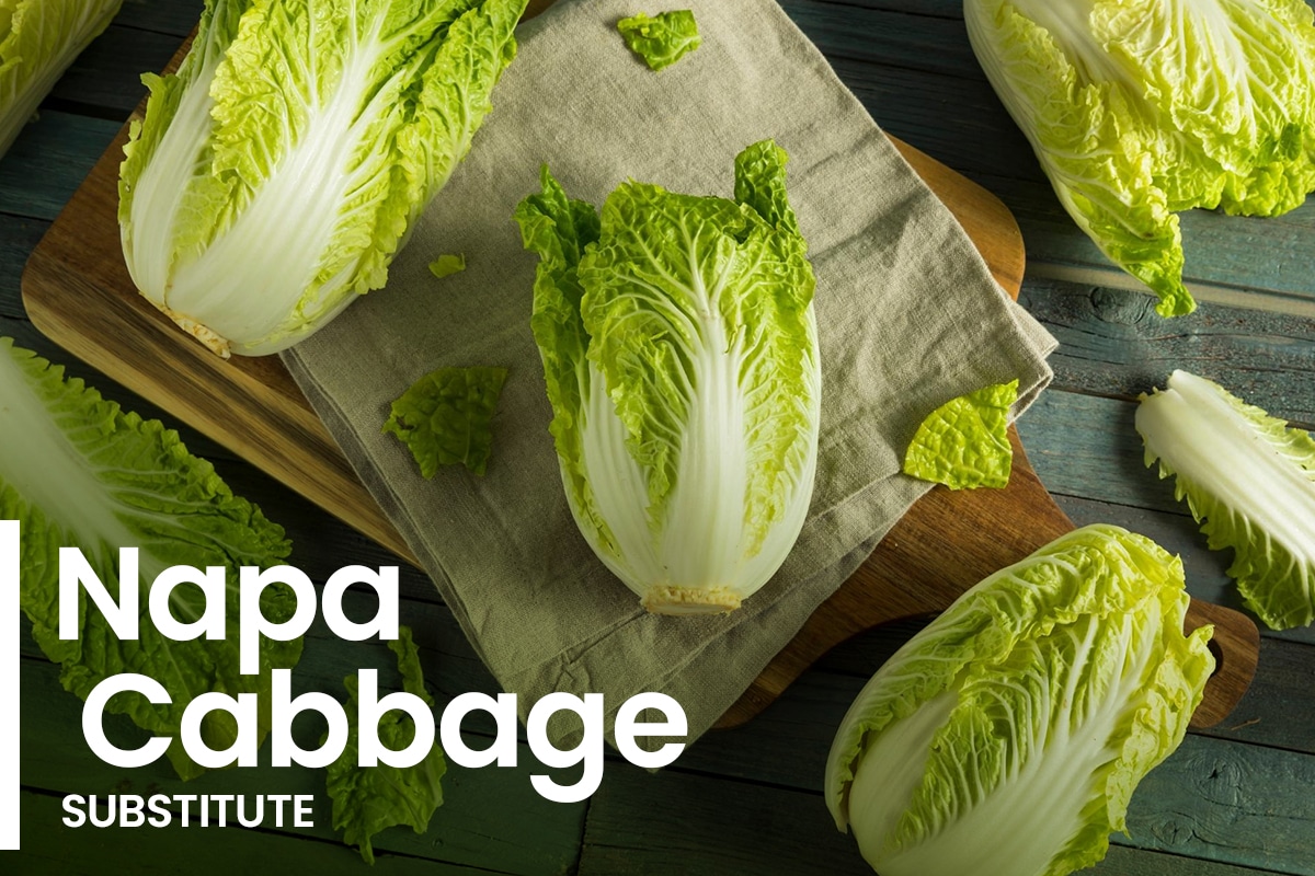 9 Best Napa Cabbage Substitutes for Cooking (Updated 2024)