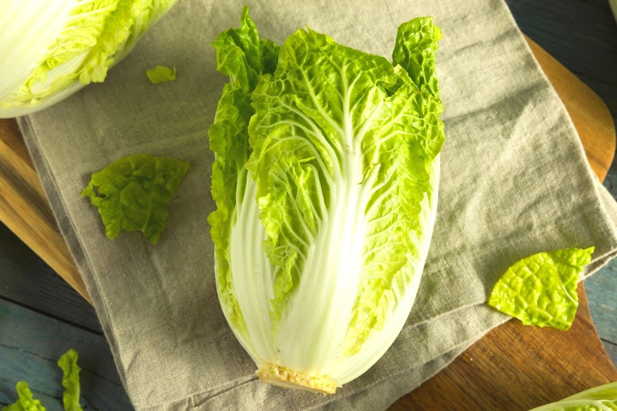 9 Best Napa Cabbage Substitutes for Cooking (Updated 2025)