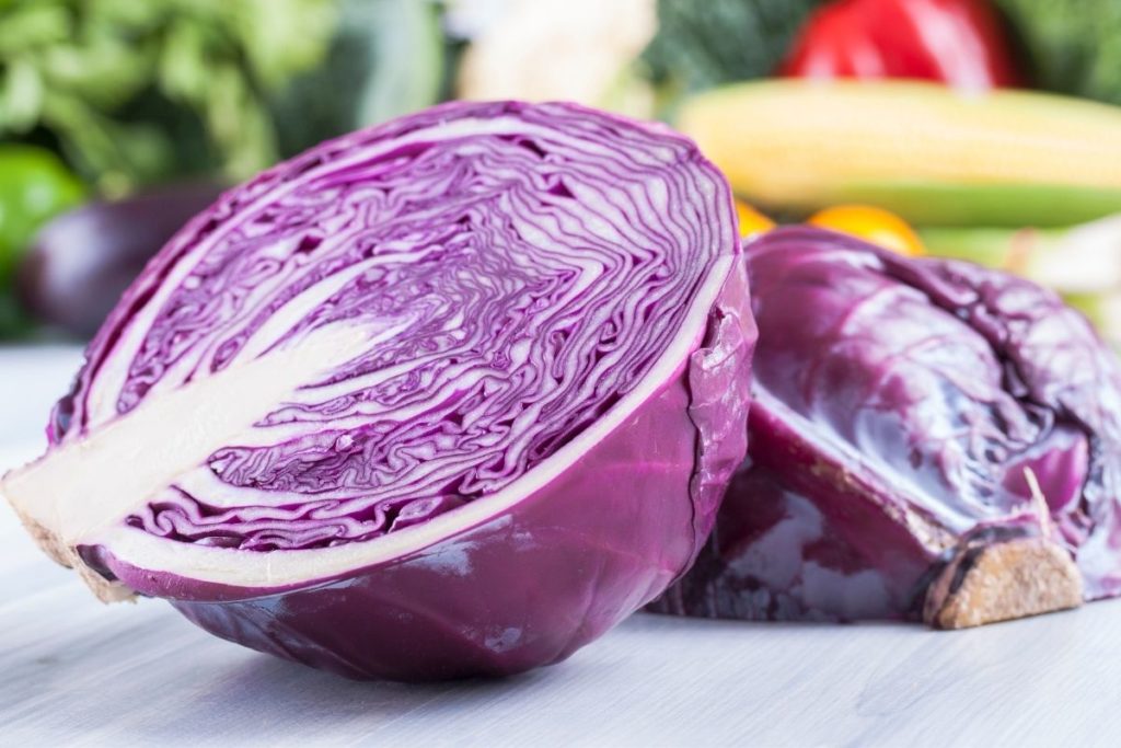 Red Cabbage