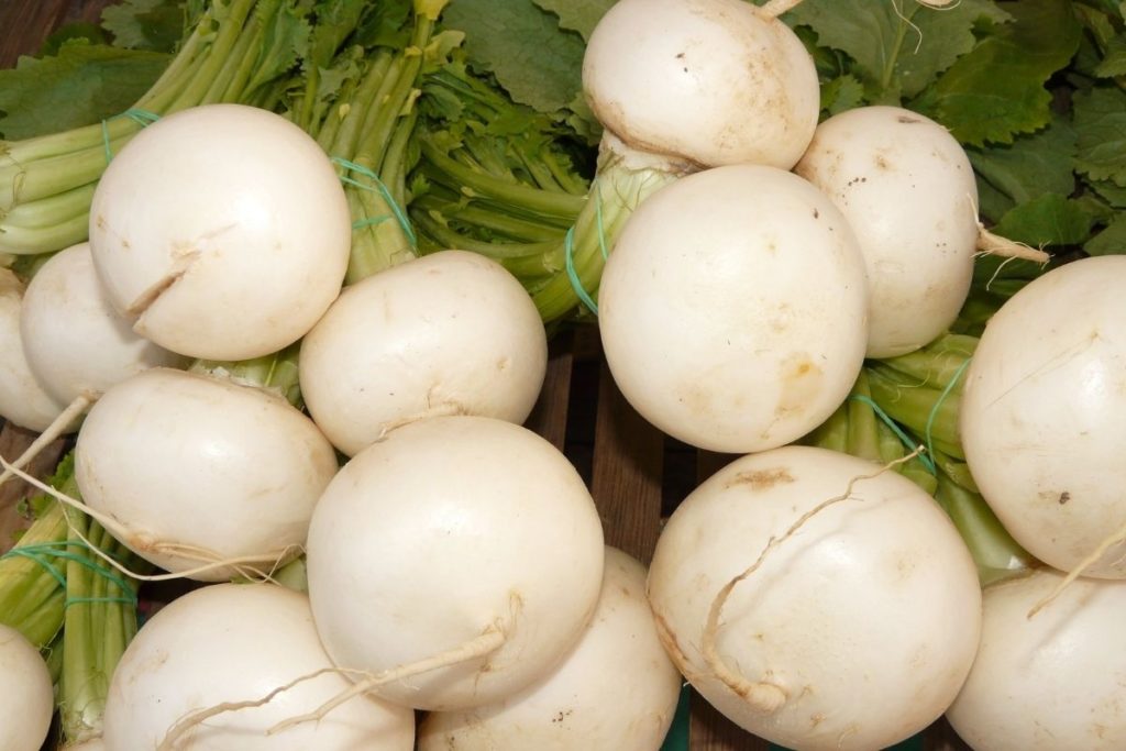 Turnips - Substitute for Parsnips