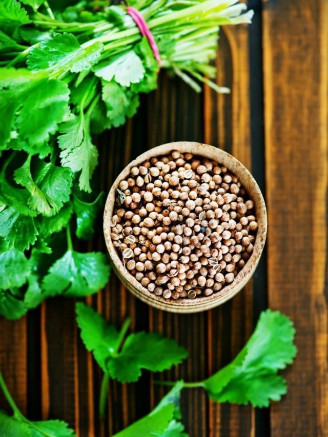 3 Best Coriander Substitutes for Home Cooking Story