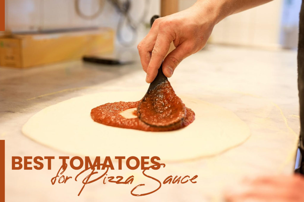 Best tomatoes for pizza sauce