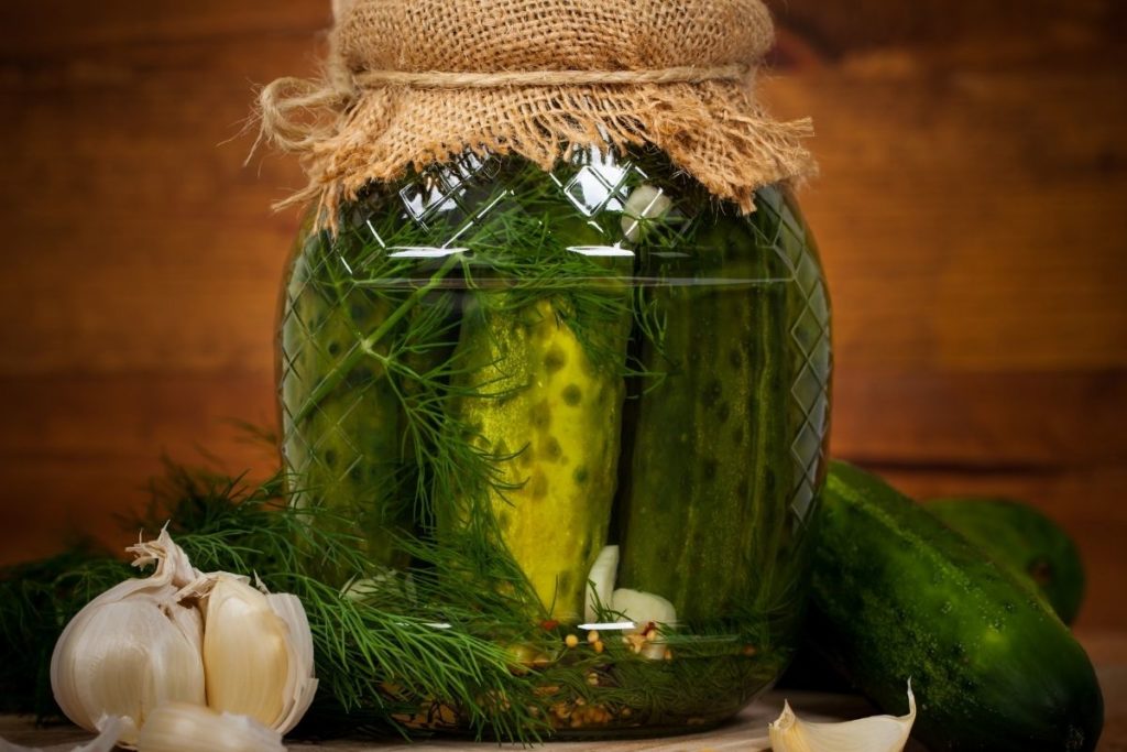 Dill Pickles - Sweet Pickle Relish Substitute